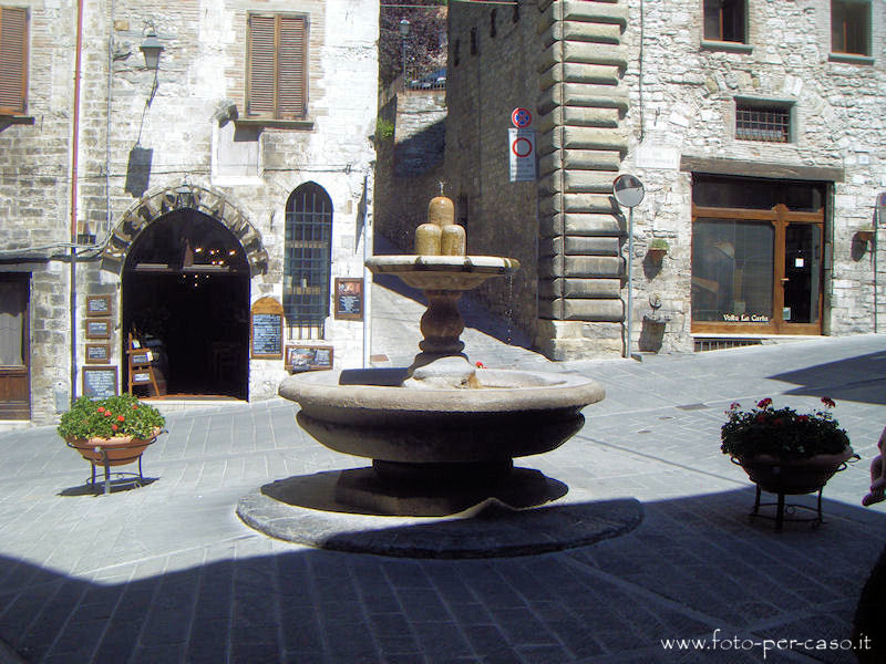 Galleria foto della Fontana del Bargello